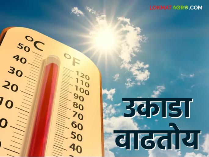 Maharashtra Weather Update: latest news Heat is increasing in the state; Read the IMD report in detail. | Maharashtra Weather Update: राज्यात उकाडा वाढतोय; काय सांगतोय IMD रिपोर्ट वाचा सविस्तर Maharashtra Weather Update: latest news Heat is increasing in the state; Read the IMD report in detail. | Maharashtra Weather Update: राज्यात उकाडा वाढतोय; काय सांगतोय IMD रिपोर्ट वाचा सविस्तर