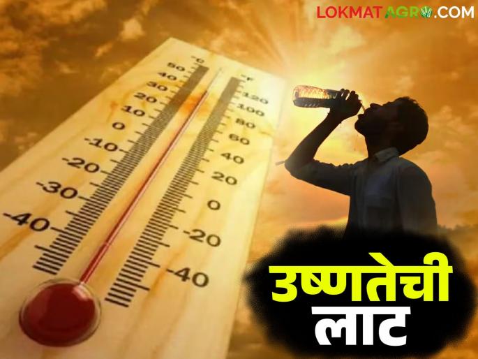 Maharashtra Weather Update: latest news Fear of unseasonal weather; Read the IMD report in detail | Maharashtra Weather Update: अवकाळीची धाकधुक कायम; IMD रिपोर्ट वाचा सविस्तर Maharashtra Weather Update: latest news Fear of unseasonal weather; Read the IMD report in detail | Maharashtra Weather Update: अवकाळीची धाकधुक कायम; IMD रिपोर्ट वाचा सविस्तर