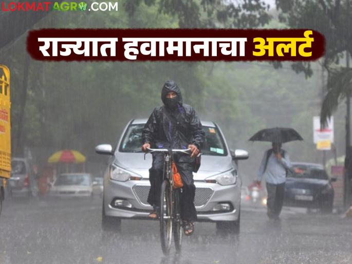 latest news Maharashtra Weather Update: Rain is increasing in intensity; Marathwada on alert, possibility of heavy rain in Vidarbha Read in detail | Maharashtra Weather Update : पावसाचा जोर वाढतोय; मराठवाडा सतर्क, विदर्भात अतिवृष्टीची शक्यता वाचा सविस्तर