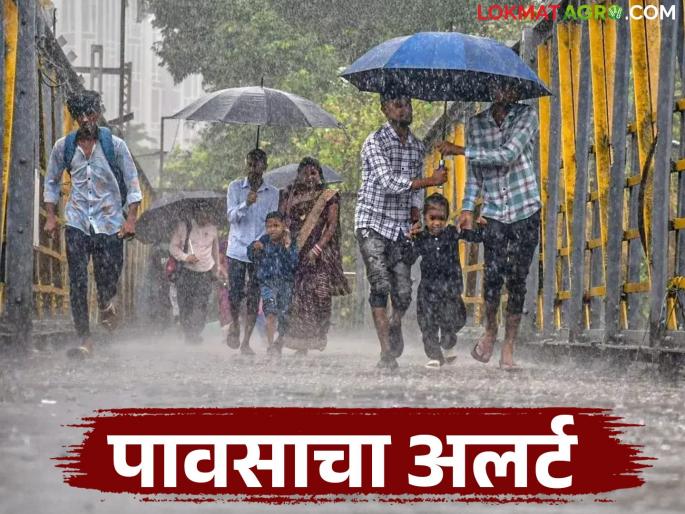 latest news Maharashtra Weather Update : Heavy rains on Raksha Bandhan; Meteorological Department warns of heavy rains in Marathwada-Vidarbha | Maharashtra Weather Update : रक्षाबंधनला पावसाचा जोर; मराठवाडा-विदर्भात हवामान खात्याचा इशारा
