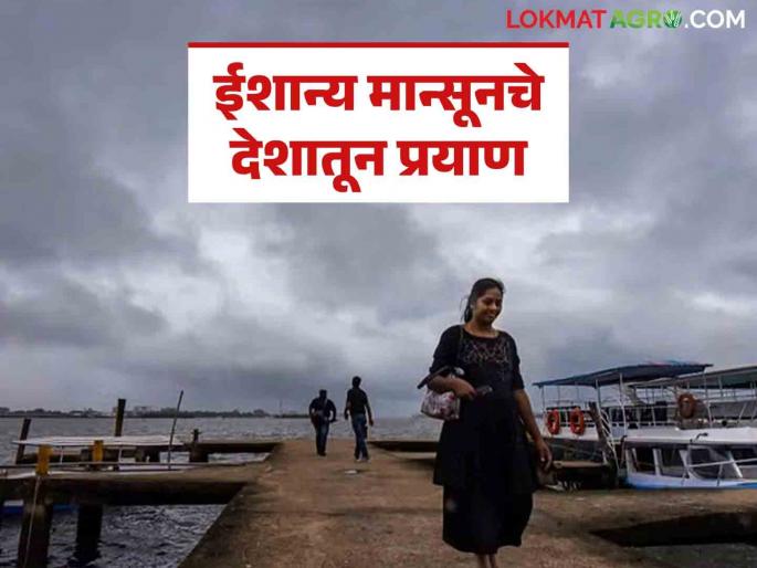 Latest News Weather Update Chance of rain in 'this' district of Maharashtra next week Know in detail | Maharashtra Weather Update : महाराष्ट्रातील 'या' जिल्ह्यात पुढील आठवड्यात पावसाची शक्यता? जाणून घ्या सविस्तर  