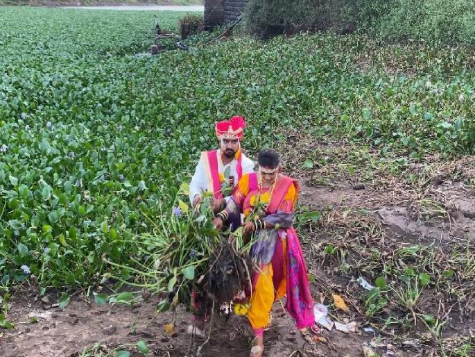 The newly weds of Ichalkaranji in Kolhapur went down to the river Panchganga and took water leaves | Kolhapur News: पंचगंगेच्या प्रदूषणमुक्तीसाठी नवदाम्पत्य सरसावले, विवाह होताच जलपर्णी काढायला नदीत उतरले The newly weds of Ichalkaranji in Kolhapur went down to the river Panchganga and took water leaves | Kolhapur News: पंचगंगेच्या प्रदूषणमुक्तीसाठी नवदाम्पत्य सरसावले, विवाह होताच जलपर्णी काढायला नदीत उतरले