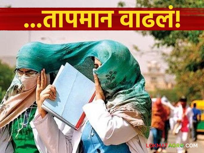 latest news Maharashtra Weather Update: Heat wave increases; Know today's weather forecast in detail | Maharashtra Weather Update : उन्हाचा तडाखा वाढला; जाणून घ्या आजचा हवामान अंदाज सविस्तर