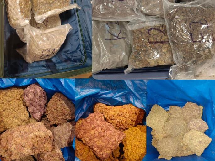 Hydroponic seeds worth Rs 50 crore seized at Mumbai airport, gold and diamonds also found | मुंबई विमानतळावर 50 कोटी रुपयांचे हायड्रोपोनिक 'वीड' जप्त, सोने आणि हिरेही आढळले