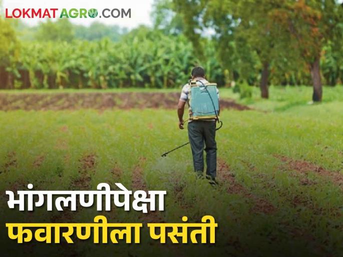Spraying is easier than weeding if farm laborers are not available; Increase in herbicide use | शेतमजुर मिळेनात भांगलणीपेक्षा फवारणीच सोपी; तणनाशक वापरात वाढ Spraying is easier than weeding if farm laborers are not available; Increase in herbicide use | शेतमजुर मिळेनात भांगलणीपेक्षा फवारणीच सोपी; तणनाशक वापरात वाढ