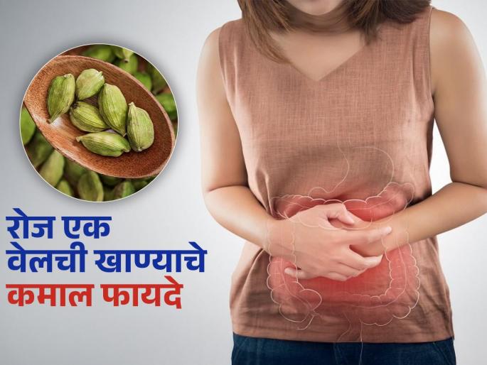 Dietitian told who should eat 1 cardamom daily and its benefits | 'या' लोकांनी रोज खावी एक वेलची, सुगंधी वेलचीचे फायदे अनेक-सोपा आरोग्यदायी उपाय
