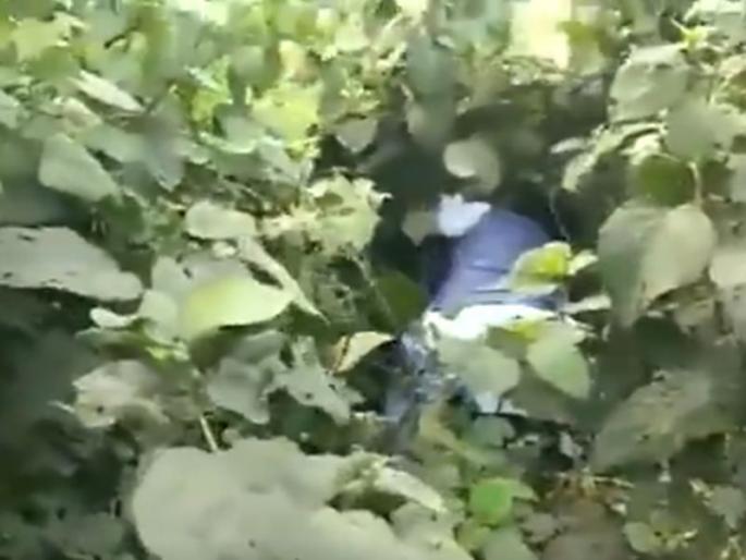 Video: West Bengal BJP candidate for Karimpur bypoll, Joy Prakash Majumdar manhandled and kicked allegedly by TMC workers | Video: भाजपा नेत्याला कार्यकर्त्याची लाथ; नेता थेट झाडाझुडूपात