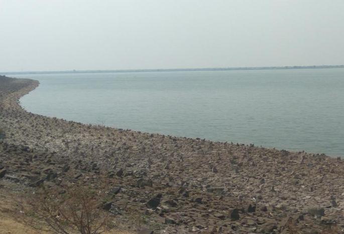 50% water storage in Western vidarbha Dams | वऱ्हाडात ५० टक्के जलसाठा!