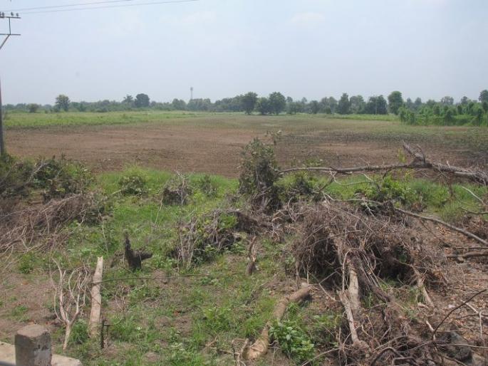 Nine crore losses of farmers in Nagpur district | नागपूर जिल्ह्यातील शेतकऱ्यांचे नऊ कोटी रुपयांचे नुकसान Nine crore losses of farmers in Nagpur district | नागपूर जिल्ह्यातील शेतकऱ्यांचे नऊ कोटी रुपयांचे नुकसान