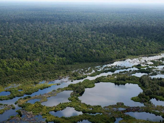 Why did 99 percent of wetlands fail? | का नापास झाले ९९ टक्के ‘वेटलॅंड’? 
