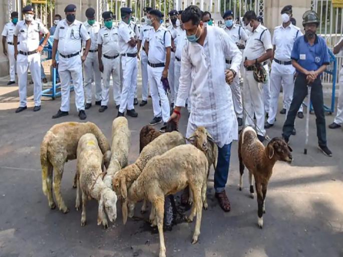 The governor called for a report on the protests in front of the Raj Bhavan | राजभवनसमोरील निदर्शनांची गंभीर दखल, राज्यपालांनी मागविला अहवाल The governor called for a report on the protests in front of the Raj Bhavan | राजभवनसमोरील निदर्शनांची गंभीर दखल, राज्यपालांनी मागविला अहवाल