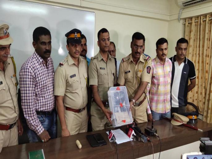 Arrested person who having Ambergris worth rupees 1 crore 70 lakhs illegally | १ कोटी ७० लाखाची माशाच्या उलटीची तस्करी करणाऱ्यास बेड्या  Arrested person who having Ambergris worth rupees 1 crore 70 lakhs illegally | १ कोटी ७० लाखाची माशाच्या उलटीची तस्करी करणाऱ्यास बेड्या