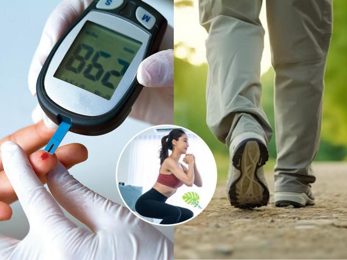 what is the best way to fight diabetes nutritionist shares easy rule best way to fight diabetes naturally how to control diabetes with diet how to control diabetes 10-10-10 health rule | डायबिटीस राहील नियंत्रणात, फक्त फॉलो करा १०-१०-१० चा नियम - पोषणतज्ज्ञ सांगतात ३ गोष्टी कराच...
