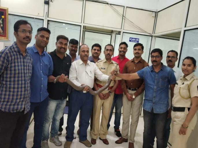 The arrest of four persons who were smuggling mandul snake | मांडुळाची तस्करी करणाऱ्या चौघांना अटक