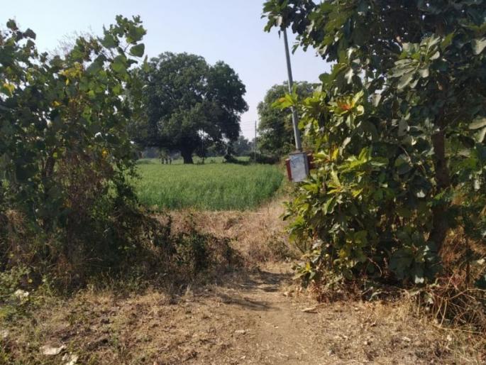 Two farmers die due to electricity SHOCK | आंचरवाडीत वीजेच्या धक्क्याने दोन शेतकऱ्यांचा मृत्यू Two farmers die due to electricity SHOCK | आंचरवाडीत वीजेच्या धक्क्याने दोन शेतकऱ्यांचा मृत्यू