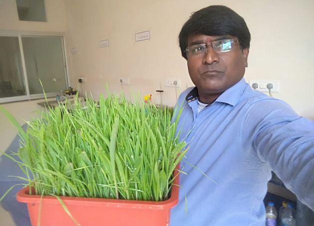 fodder in drought; Two kg of fodder from 100 gm seeds | दुष्काळावर चाऱ्याचा उतारा; ksbN १०० ग्रॅम बियाण्यापासून दोन किलो चारा fodder in drought; Two kg of fodder from 100 gm seeds | दुष्काळावर चाऱ्याचा उतारा; ksbN १०० ग्रॅम बियाण्यापासून दोन किलो चारा