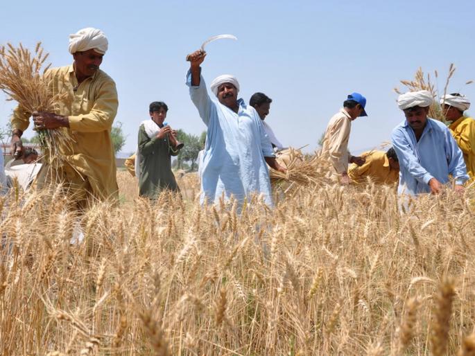 Happy Farmer! No charge will be levied on three lakhs of loan | शेतकऱ्यांसाठी खूशखबर! तीन लाखांच्या कर्जावर कोणतंही शुल्क आकारलं जाणार नाही Happy Farmer! No charge will be levied on three lakhs of loan | शेतकऱ्यांसाठी खूशखबर! तीन लाखांच्या कर्जावर कोणतंही शुल्क आकारलं जाणार नाही