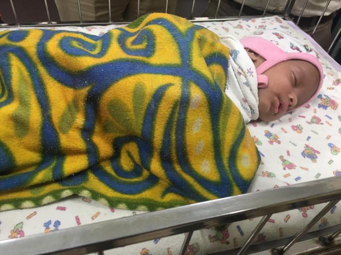 After 2 months treatment tiger will discharge tomorrow from Wadia Hospital | गुढीपाडव्याच्या शुभदिनी 3 महिन्यांचा 'टायगर' करणार नव्या आयुष्याची सुरुवात After 2 months treatment tiger will discharge tomorrow from Wadia Hospital | गुढीपाडव्याच्या शुभदिनी 3 महिन्यांचा 'टायगर' करणार नव्या आयुष्याची सुरुवात