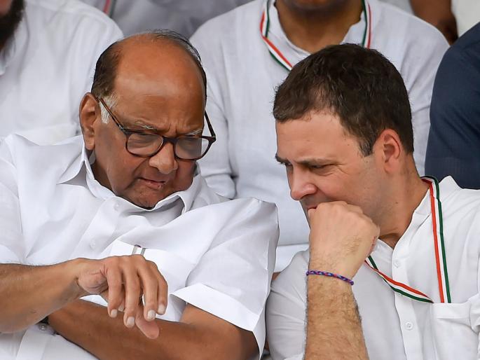 NCP and Congress merges loud | शरद पवार काँग्रेसचे अध्यक्ष, राहुल विरोधी पक्षनेते? NCP and Congress merges loud | शरद पवार काँग्रेसचे अध्यक्ष, राहुल विरोधी पक्षनेते?