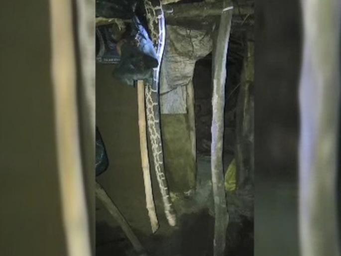 Dahanu caught two pythons in two days | डहाणूत दोन दिवसात दोन अजगर पकडले Dahanu caught two pythons in two days | डहाणूत दोन दिवसात दोन अजगर पकडले