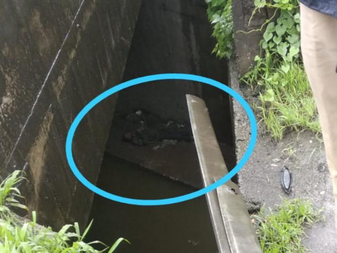 youth fall down from warje bridge | देव तारी त्याला काेण मारी ; पुलावरुन पडूनही युवकाचे वाचले प्राण youth fall down from warje bridge | देव तारी त्याला काेण मारी ; पुलावरुन पडूनही युवकाचे वाचले प्राण