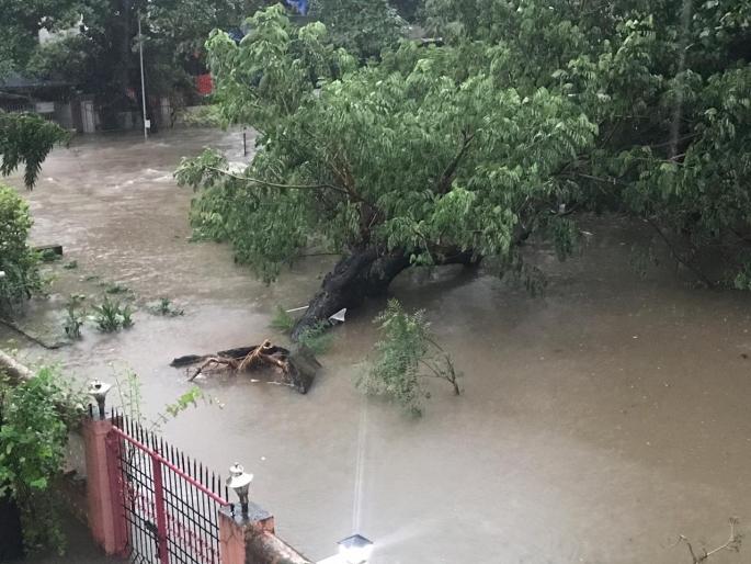 Incidence of falling trees due to heavy rains in Dombivali | डोंबिवलीत मुसळधार पावसामुळे झाडं कोलमडली Incidence of falling trees due to heavy rains in Dombivali | डोंबिवलीत मुसळधार पावसामुळे झाडं कोलमडली