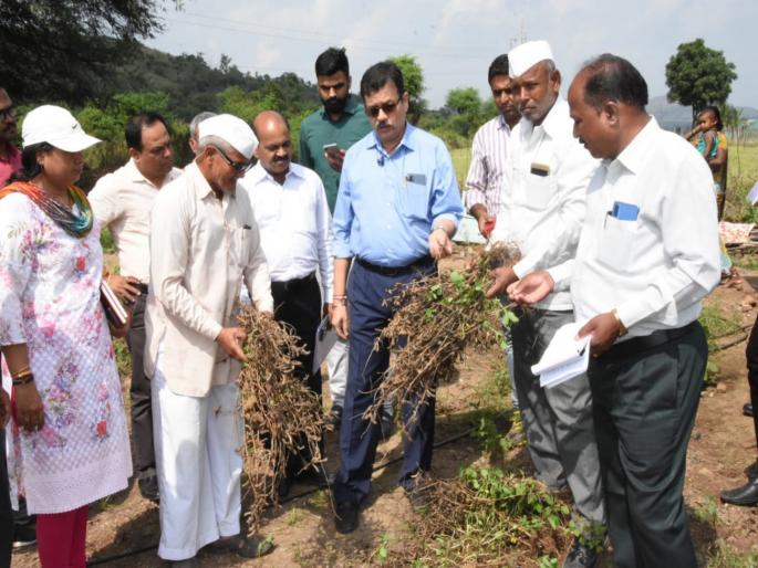 the survey of affected area will be complete in two days ; regional commissioner | दाेन दिवसात पुणे विभागातील बाधित क्षेत्रांचे पंचनामे हाेणार पूर्ण ; विभागीय आयुक्त the survey of affected area will be complete in two days ; regional commissioner | दाेन दिवसात पुणे विभागातील बाधित क्षेत्रांचे पंचनामे हाेणार पूर्ण ; विभागीय आयुक्त