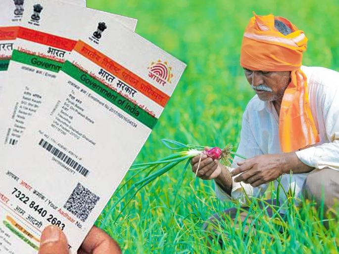 73 thousand farmers suffer due to no link to Aadhaar account | आधार खात्याशी लिंक नसल्याने 73 हजार शेतकरी अडचणीत 73 thousand farmers suffer due to no link to Aadhaar account | आधार खात्याशी लिंक नसल्याने 73 हजार शेतकरी अडचणीत