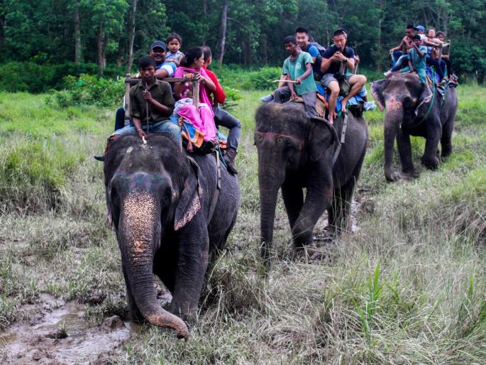 Special places to enjoy wildlife travelling with the animals | वाईल्ड लाईफचा आनंद घेण्यासाठी 'ही' ठिकाणं आहेत खास, एकदा जाऊन तर बघा... Special places to enjoy wildlife travelling with the animals | वाईल्ड लाईफचा आनंद घेण्यासाठी 'ही' ठिकाणं आहेत खास, एकदा जाऊन तर बघा...