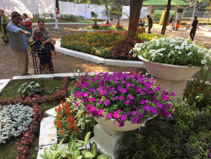 lakhs of flowers of different colors under one roof | विविध रंगाची लाखाे फुले एकाच छताखाली lakhs of flowers of different colors under one roof | विविध रंगाची लाखाे फुले एकाच छताखाली