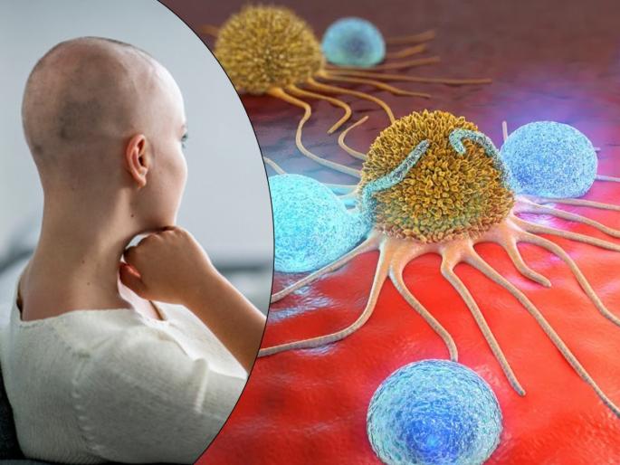 Scientists discover immune therapy t cell for all types of cancer treatment | Cancer Treatment : खूशखबर! कॅन्सर बरा करण्यासाठी वैज्ञानिकांनी शोधला नवा उपाय, जाणून घ्या काय आहे उपाय Scientists discover immune therapy t cell for all types of cancer treatment | Cancer Treatment : खूशखबर! कॅन्सर बरा करण्यासाठी वैज्ञानिकांनी शोधला नवा उपाय, जाणून घ्या काय आहे उपाय