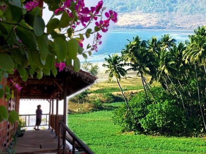 Best place for enjoy beach and temple travel Dapoli in maharashtra | सुंदर आणि स्वच्छ बीचसाठी गोवा नाही, तर राज्यातील 'या' ठिकाणाला द्या भेट! Best place for enjoy beach and temple travel Dapoli in maharashtra | सुंदर आणि स्वच्छ बीचसाठी गोवा नाही, तर राज्यातील 'या' ठिकाणाला द्या भेट!