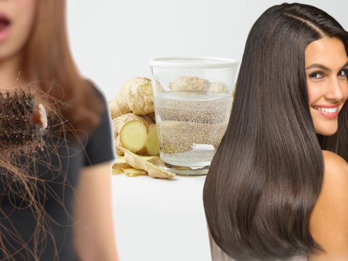 How to get long and shiny hairs by using ginger | केस वाढण्याची वाट बघत असाल, तर आल्याचा वापर तुमची लांब केसांची इच्छा करेल पूर्ण How to get long and shiny hairs by using ginger | केस वाढण्याची वाट बघत असाल, तर आल्याचा वापर तुमची लांब केसांची इच्छा करेल पूर्ण