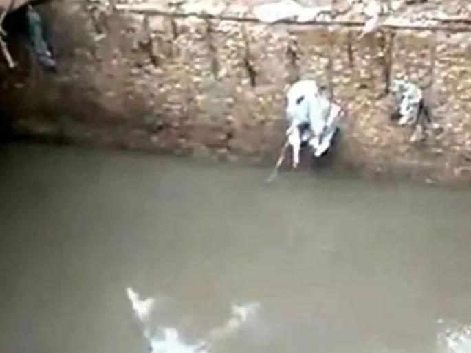 Shocking! 18-year-old girl died after falling into a drain | धक्कादायक! नाल्यात पडून १८ वर्षीय मुलीचा मृत्यू   Shocking! 18-year-old girl died after falling into a drain | धक्कादायक! नाल्यात पडून १८ वर्षीय मुलीचा मृत्यू