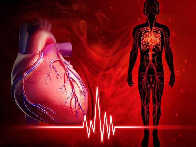 Yogasan for preventing heart attack by maintaining blood circulation | 'या' योगासनांनी ब्लड सर्क्युलेशन व्यवस्थित होऊन हार्ट अटॅकचा टळेल धोका! Yogasan for preventing heart attack by maintaining blood circulation | 'या' योगासनांनी ब्लड सर्क्युलेशन व्यवस्थित होऊन हार्ट अटॅकचा टळेल धोका!