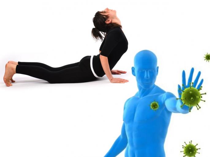 Corona virus : Increase your immunity by doing yogasana myb | Corona virus : गोळ्या,औषधं नाही तर 'ही' योगासनं करून रोगप्रतिकारकशक्ती वाढवा.... Corona virus : Increase your immunity by doing yogasana myb | Corona virus : गोळ्या,औषधं नाही तर 'ही' योगासनं करून रोगप्रतिकारकशक्ती वाढवा....