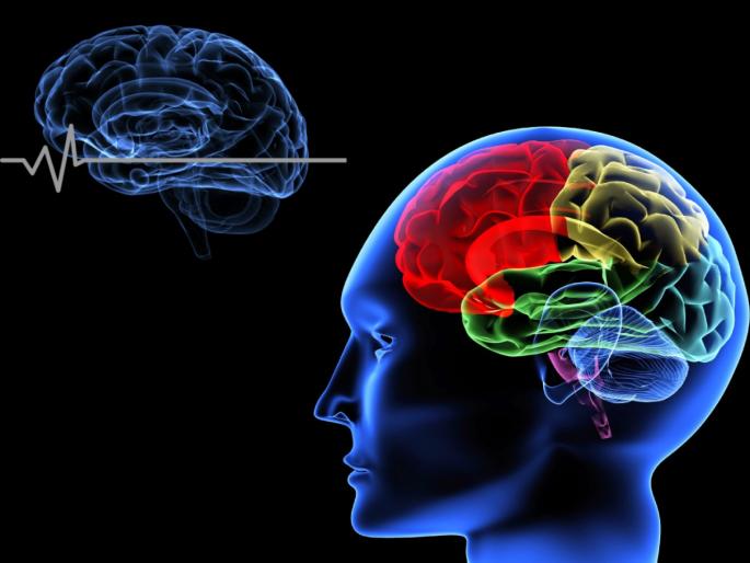 What is brain dead condition and difference between coma and brain dead myb | ब्रेन डेड म्हणजे नक्की काय? जाणून घ्या कोमात जाणं आणि ब्रेन डेड यातील फरक What is brain dead condition and difference between coma and brain dead myb | ब्रेन डेड म्हणजे नक्की काय? जाणून घ्या कोमात जाणं आणि ब्रेन डेड यातील फरक