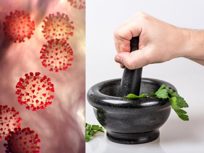 CoronaVirus Marathi News gujarat claims ayurvedickadha helps people covid19 SSS | CoronaVirus News : कोरोनाला रोखणारा आयुर्वेदिक काढा, 6000 लोकांवर चाचणी केल्याचा गुजरात सरकारचा दावा CoronaVirus Marathi News gujarat claims ayurvedickadha helps people covid19 SSS | CoronaVirus News : कोरोनाला रोखणारा आयुर्वेदिक काढा, 6000 लोकांवर चाचणी केल्याचा गुजरात सरकारचा दावा