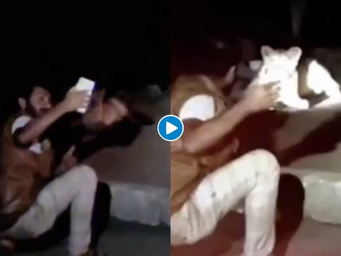 Taking a selfie with a lion and making tik tok video goes viral myb | बापरे! सिंहासोबत सेल्फी घ्यायला गेला; अन् असं काही करून बसला, पहा व्हायरल व्हिडीओ Taking a selfie with a lion and making tik tok video goes viral myb | बापरे! सिंहासोबत सेल्फी घ्यायला गेला; अन् असं काही करून बसला, पहा व्हायरल व्हिडीओ