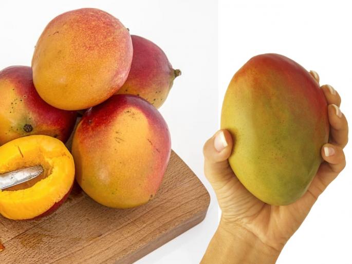 Health benefits of eating mangoes myb | आंबे खाण्याचे गुणकारी फायदे वाचाल; तर लॉकडाऊनमध्येही रोज आंबेच खात बसाल Health benefits of eating mangoes myb | आंबे खाण्याचे गुणकारी फायदे वाचाल; तर लॉकडाऊनमध्येही रोज आंबेच खात बसाल