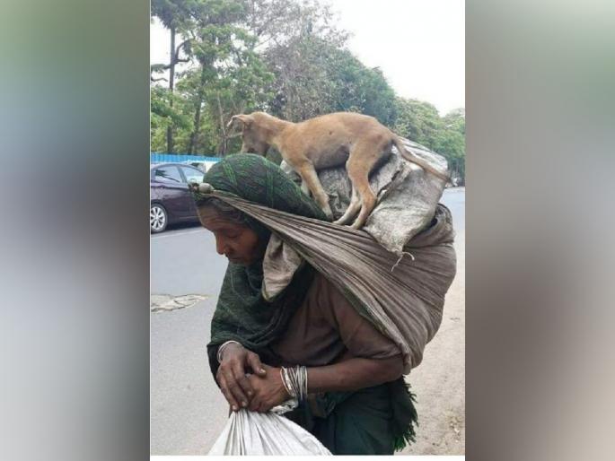 CoronaVirus Marathi News heart touching pic woman goes viral SSS | CoronaVirus News : कोरोनाच्या संकटात भूतदया! हेच असतं आईचं प्रेम; फोटो व्हायरल CoronaVirus Marathi News heart touching pic woman goes viral SSS | CoronaVirus News : कोरोनाच्या संकटात भूतदया! हेच असतं आईचं प्रेम; फोटो व्हायरल