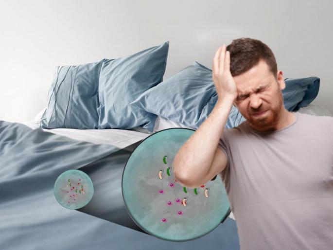 Diseases can get from dirty bed sheet and how to wash bed sheet properly myb | घरातील बेडशीटसुद्धा ठरू शकते इन्फेक्शन पसरण्याचं मोठं कारणं; जाणून घ्या वापराची योग्य पद्धत Diseases can get from dirty bed sheet and how to wash bed sheet properly myb | घरातील बेडशीटसुद्धा ठरू शकते इन्फेक्शन पसरण्याचं मोठं कारणं; जाणून घ्या वापराची योग्य पद्धत