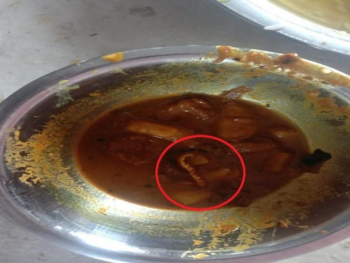 CoronaVirus Marathi News scorpio found food quarantine center bihar SSS | CoronaVirus News : भयंकर! जेवणात आढळला विंचू; क्वारंटाईन सेंटरमधील धक्कादायक प्रकार CoronaVirus Marathi News scorpio found food quarantine center bihar SSS | CoronaVirus News : भयंकर! जेवणात आढळला विंचू; क्वारंटाईन सेंटरमधील धक्कादायक प्रकार