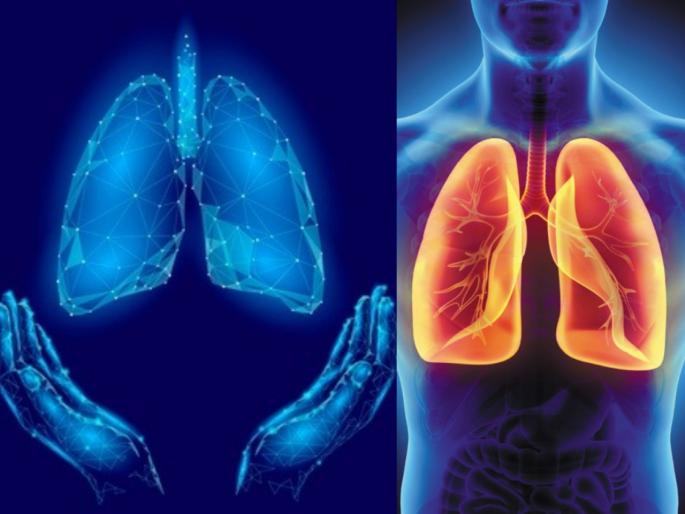Health tips : How to make lungs healthy by daily diet | फुफ्फुसांमध्ये जमा होणारी घाण लगेचच होईल दूर; नेहमी निरोगी राहण्यासाठी 'असा' घ्या आहार Health tips : How to make lungs healthy by daily diet | फुफ्फुसांमध्ये जमा होणारी घाण लगेचच होईल दूर; नेहमी निरोगी राहण्यासाठी 'असा' घ्या आहार