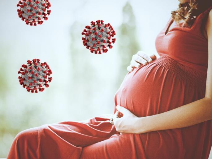 Coronavirus: Immunity booster Tips for Pregnant Women | CoronaVirus: गर्भवती महिलांसाठी इम्युनिटी वाढवण्याच्या घरगुती टिप्स, बाळही राहील सुरक्षित Coronavirus: Immunity booster Tips for Pregnant Women | CoronaVirus: गर्भवती महिलांसाठी इम्युनिटी वाढवण्याच्या घरगुती टिप्स, बाळही राहील सुरक्षित