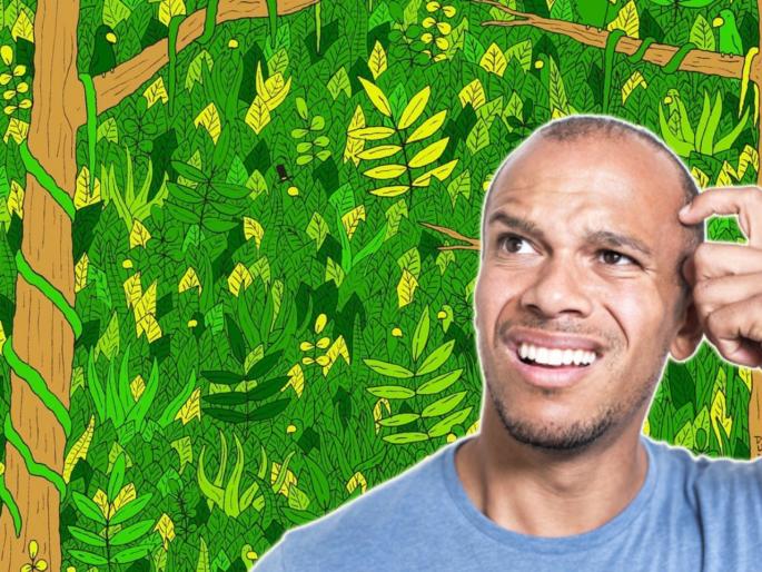 Can you find a snake in the jungle peoples find very difficult see viral photo | 'या' फोटोमधील पोपटांची आणि सापांची संख्या शोधून शोधून थकाल, बघा जमतंय का हे चॅलेन्ज Can you find a snake in the jungle peoples find very difficult see viral photo | 'या' फोटोमधील पोपटांची आणि सापांची संख्या शोधून शोधून थकाल, बघा जमतंय का हे चॅलेन्ज