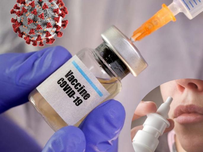 Corona vaccine will be more effective as a nasal spray saysresearchers of britain | सुईपेक्षा, 'स्प्रे'द्वारे नाकातून लस दिल्यास टळेल कोरोना संक्रमणाचा धोका, तज्ज्ञांचा दावा Corona vaccine will be more effective as a nasal spray saysresearchers of britain | सुईपेक्षा, 'स्प्रे'द्वारे नाकातून लस दिल्यास टळेल कोरोना संक्रमणाचा धोका, तज्ज्ञांचा दावा