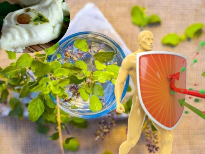 Covid 19 pandemic west bengal ready to market immunity boosting sandesh sweets | तुळस आणि मधाचा अर्क असलेली मिठाई रोगप्रतिकारकशक्ती वाढवणार; जाणून घ्या खासियत Covid 19 pandemic west bengal ready to market immunity boosting sandesh sweets | तुळस आणि मधाचा अर्क असलेली मिठाई रोगप्रतिकारकशक्ती वाढवणार; जाणून घ्या खासियत