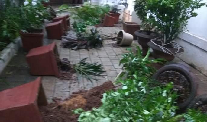 Police arrested one in Rajgruha vandalism case | राजगृहाबाहेरील तोडफोडप्रकरणी पोलिसांनी केली एकाला अटक Police arrested one in Rajgruha vandalism case | राजगृहाबाहेरील तोडफोडप्रकरणी पोलिसांनी केली एकाला अटक