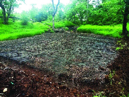 Chemical pollution is now heading towards the dam area, to the farm !, a fatal accident | रासायनिक प्रदूषण आता धरण क्षेत्र, शेतापर्यंत!, जीवघेण्या दुर्घटनेच्या दिशेने वाटचाल
